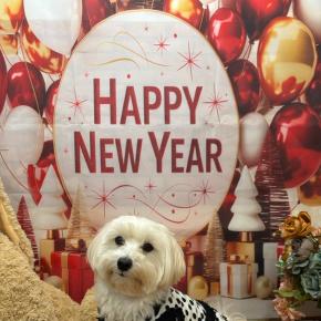 新年あけましておめでとうございます