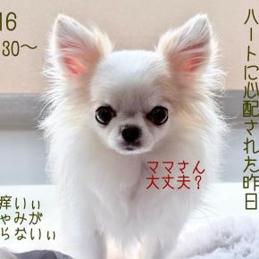 暑い日にこそ好む事