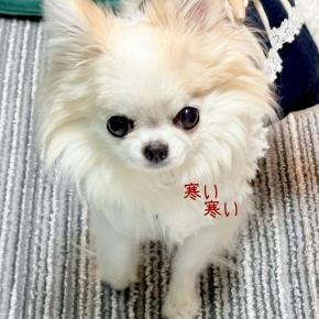 長かった発作後興奮