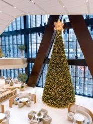 冬休みの過ごし方