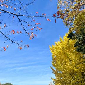 ジョギング大会に出ました