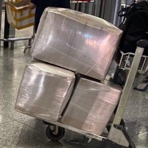 キャリーバッグを新調するよりグエンさんの知恵を拝借w