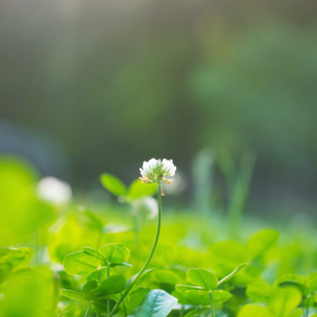 「あの時があったから今がある」──1か月の沈黙が教えてくれたこと
