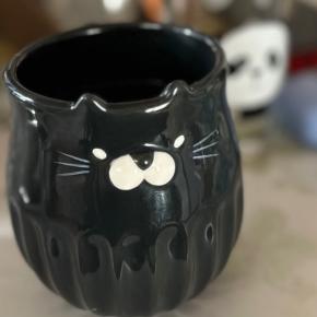 光のページェント始まりました！