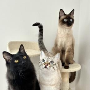 御年賀状をいただきました①