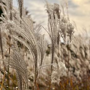 秋・・箱根へ。PART.2