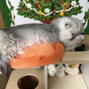 寝方も色々＆久々だね。