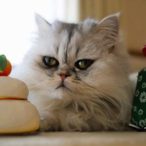 あけましておめでとうございます。