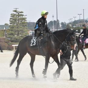 ゴールデンクラウド 出走情報（2025/03/29 伏竜ステークス）