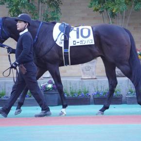 ローガンパス 2025/12/06 3歳以上1勝クラス、9着でした