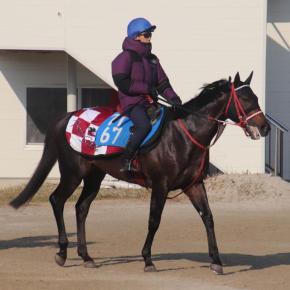 シークレットキー 出走情報（2025/12/21 御影ステークス）