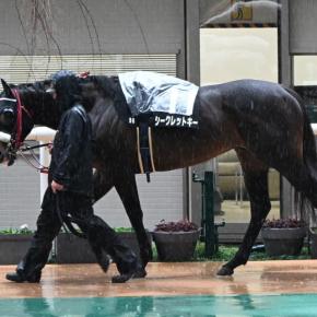 シークレットキー 2025/12/21 御影ステークス、15着（ブービー）惨敗