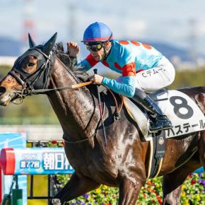 2025年一口馬主総括