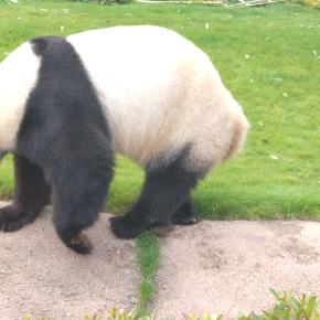 治験経緯2（治験1回目）2/12