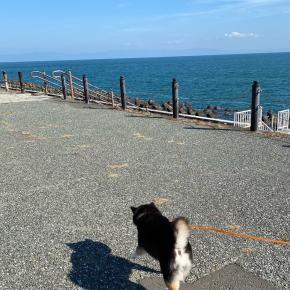 秋晴れっちゅー感じ