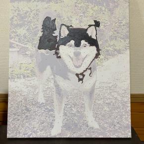 チャレンジ （パパさん）