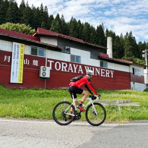 自転車で山形名物を買いに行こう！ 初めての山形サイクリングで味わうりんごとワイン、洋ナシと芋煮(＾ω＾)