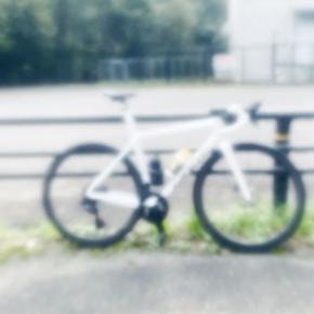 トランプ・アメリカに怒られちゃったジャイアントはしっかり迅速対応中！ 移民労働者の待遇改善に全力まい進しているようです