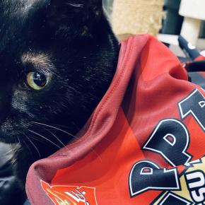 ローディーの皆さん､自分にご褒美をあげる季節がやってきました! クリスマスプレゼントに世界でただ1つのサーモスーツはどうでしょう