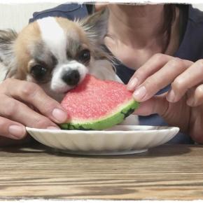 スイカにメロン♪