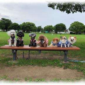 四姉妹&三姉妹でプチオフ会