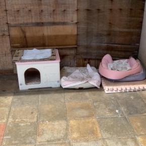 セカンドキャリア第一弾終了