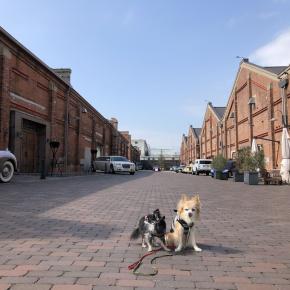 今月のお休み＠所用ついでに大阪観光