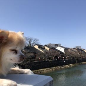 今月のお休み＠王道観光⑥