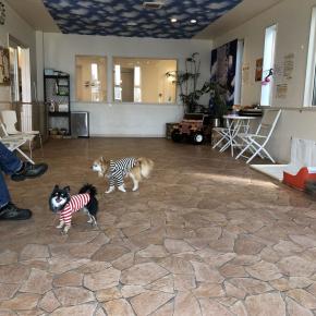 2度目ましてのカフェへ