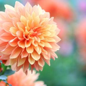 家族旅行前に喧嘩した親子