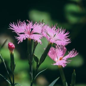 私の都合は存在していないらしい···勝手に予定を入れる夫にモヤッ