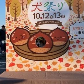 ウロウロアウトレット