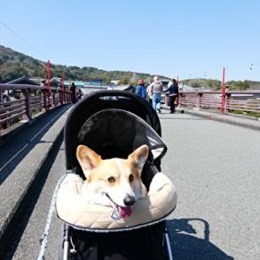 リベンジ旅行 伊勢鳥羽⑤