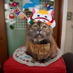 三が日ラストは・・・