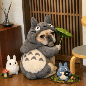 2025年ありがとうございました！ チャッピーの優秀さに驚愕。そして元旦早々に狙うscope福袋アウトレット