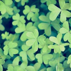 良い気はまわる～ 