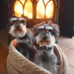 やっぱりボクはルカが好き～と飼い主と寝る派デス！