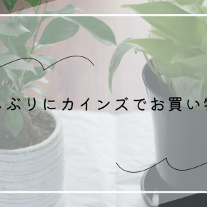 【カインズ購入品】久しぶりにカインズでお買い物。気になっていたお掃除グッズ