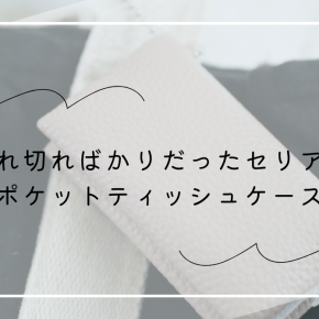 【セリア】売れ切ればかりだったセリアのポケットティッシュケースにやっと出会えた
