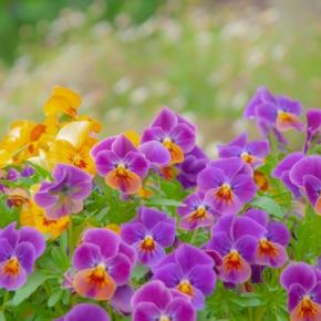 ずいぶん変わってきましたね！！