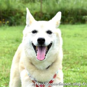 息を引き取りました。