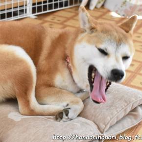 早くも平常に。