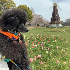浮間公園に行ってきました！