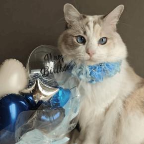 5才のお誕生日 ＆ ぐちゃぐちゃ