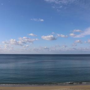 穏やかな元日です