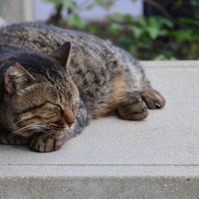 静かな大晦日でした