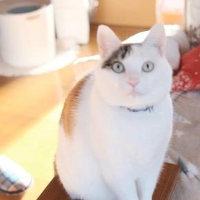 悪い方へ作用する相手なら間違いです