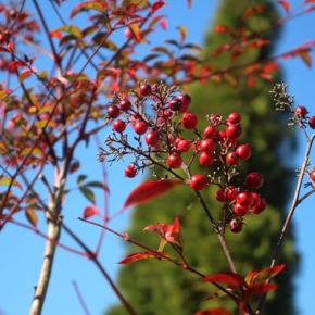 悟らない限り救いがないアラフォー女と年末用の買い出し