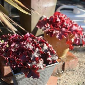 慢心すると不幸が忍び寄って来るのかも