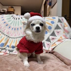 メリークリスマス♪